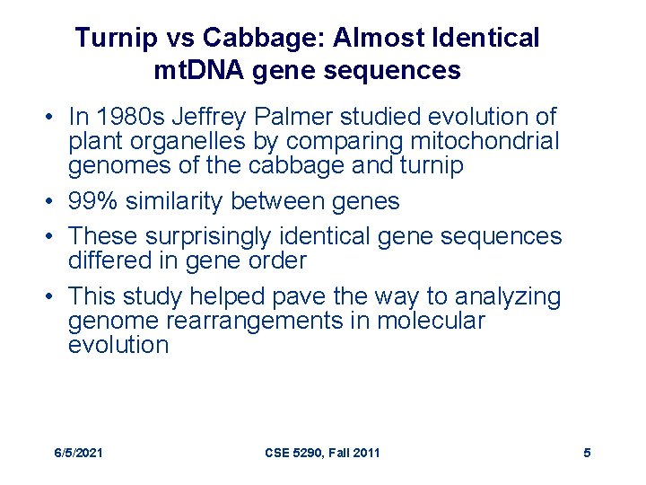 Turnip vs Cabbage: Almost Identical mt. DNA gene sequences • In 1980 s Jeffrey