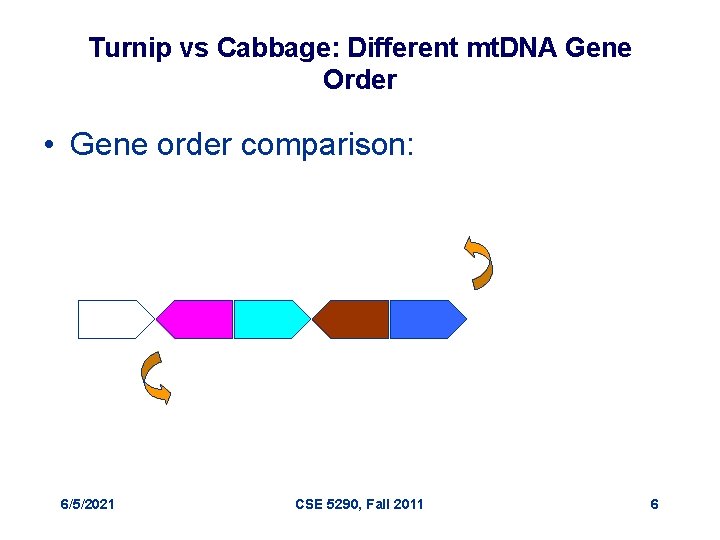 Turnip vs Cabbage: Different mt. DNA Gene Order • Gene order comparison: 6/5/2021 CSE