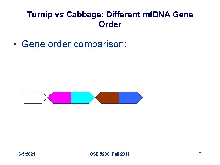 Turnip vs Cabbage: Different mt. DNA Gene Order • Gene order comparison: 6/5/2021 CSE