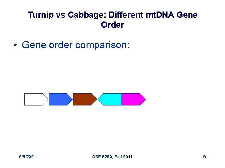 Turnip vs Cabbage: Different mt. DNA Gene Order • Gene order comparison: 6/5/2021 CSE