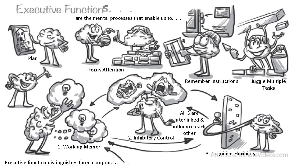 are the mental processes that enable us to. . . Plan Focus Attention Remember