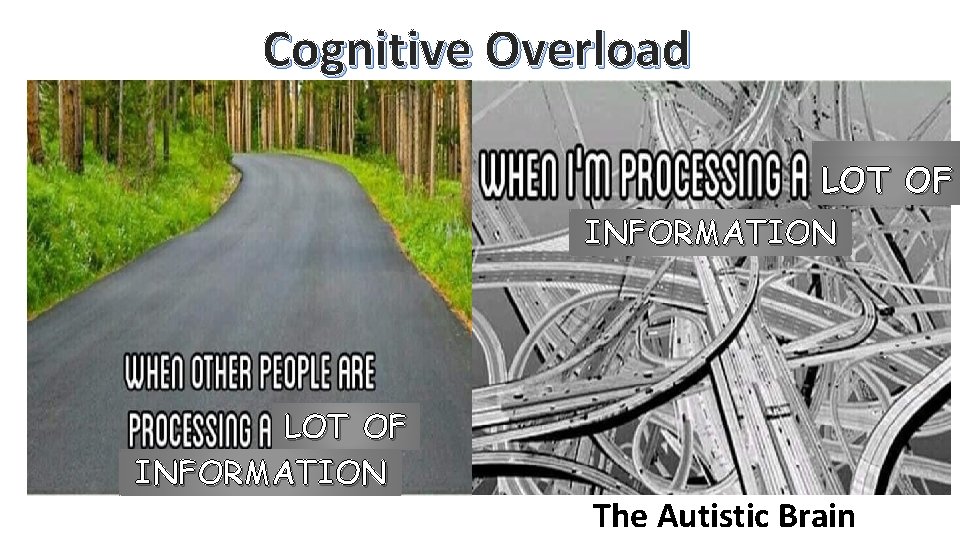 Cognitive Overload LOT OF INFORMATION The Autistic Brain 