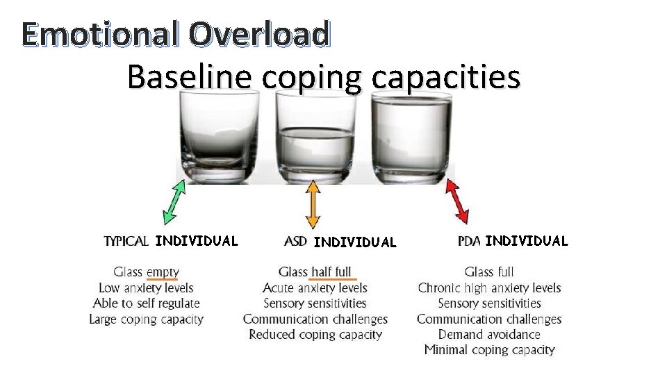Emotional Overload Baseline coping capacities INDIVIDUAL 