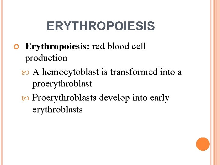 ERYTHROPOIESIS Erythropoiesis: red blood cell production A hemocytoblast is transformed into a proerythroblast Proerythroblasts