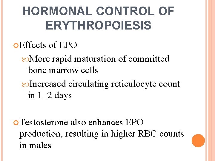 HORMONAL CONTROL OF ERYTHROPOIESIS Effects of EPO More rapid maturation of committed bone marrow