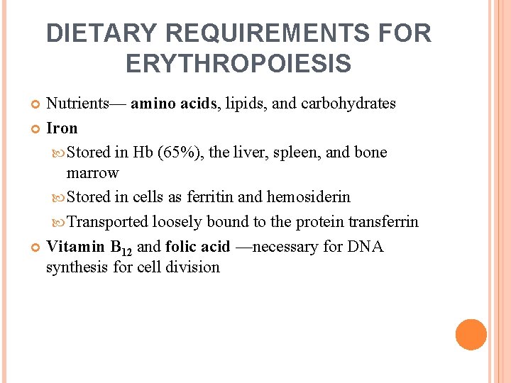 DIETARY REQUIREMENTS FOR ERYTHROPOIESIS Nutrients— amino acids, lipids, and carbohydrates Iron Stored in Hb