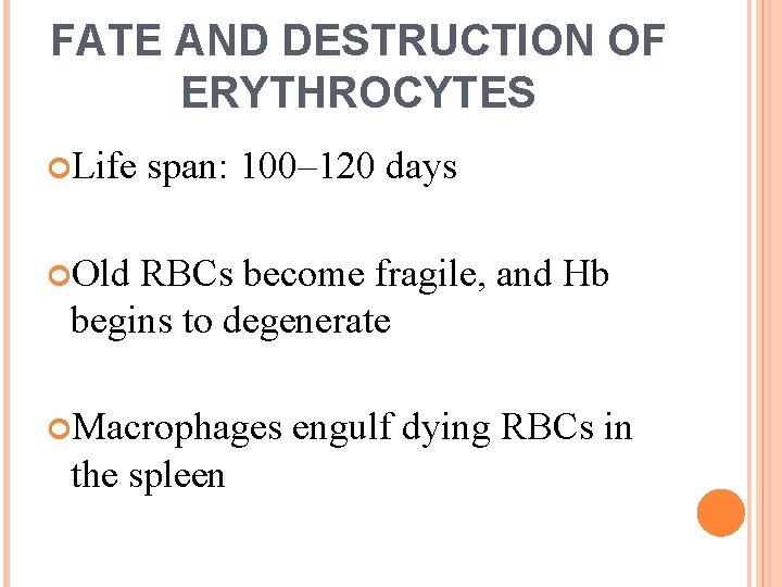 FATE AND DESTRUCTION OF ERYTHROCYTES Life span: 100– 120 days Old RBCs become fragile,