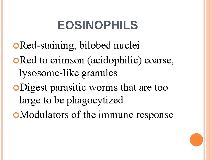 EOSINOPHILS Red-staining, bilobed nuclei Red to crimson (acidophilic) coarse, lysosome-like granules Digest parasitic worms