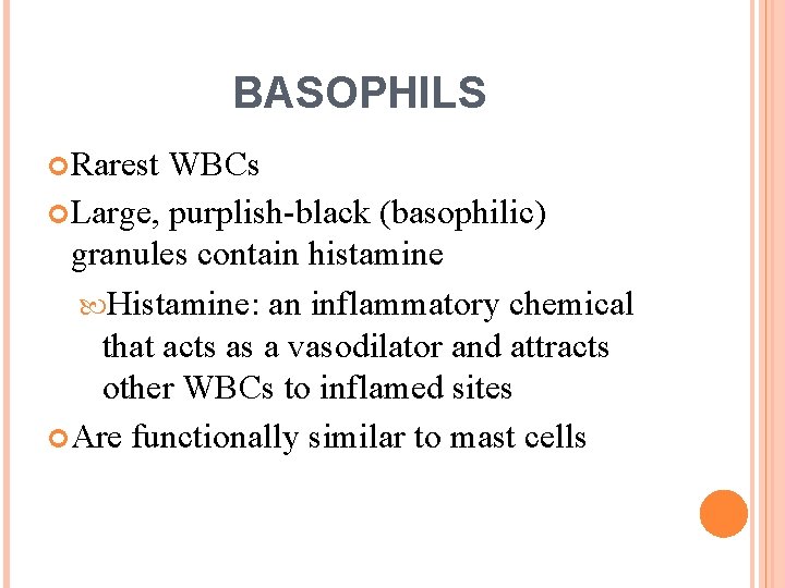 BASOPHILS Rarest WBCs Large, purplish-black (basophilic) granules contain histamine Histamine: an inflammatory chemical that