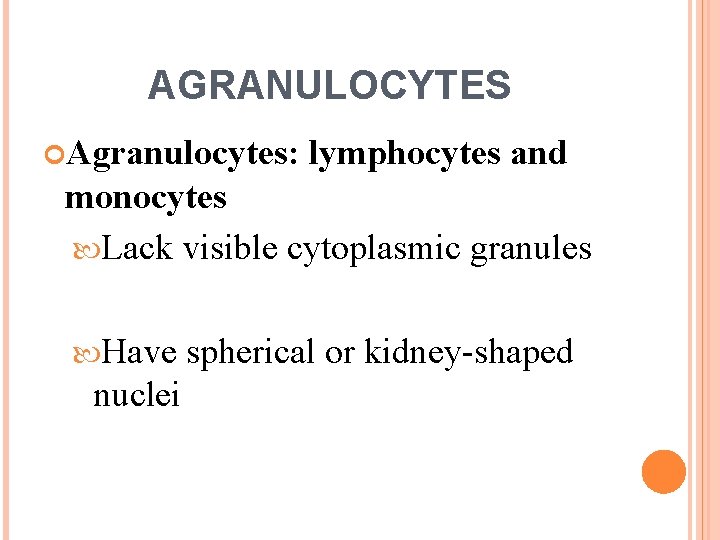 AGRANULOCYTES Agranulocytes: lymphocytes and monocytes Lack visible cytoplasmic granules Have nuclei spherical or kidney-shaped