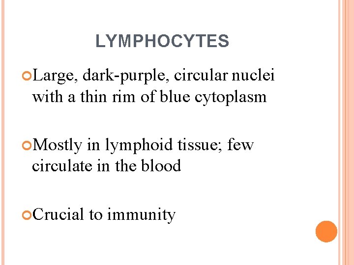 LYMPHOCYTES Large, dark-purple, circular nuclei with a thin rim of blue cytoplasm Mostly in