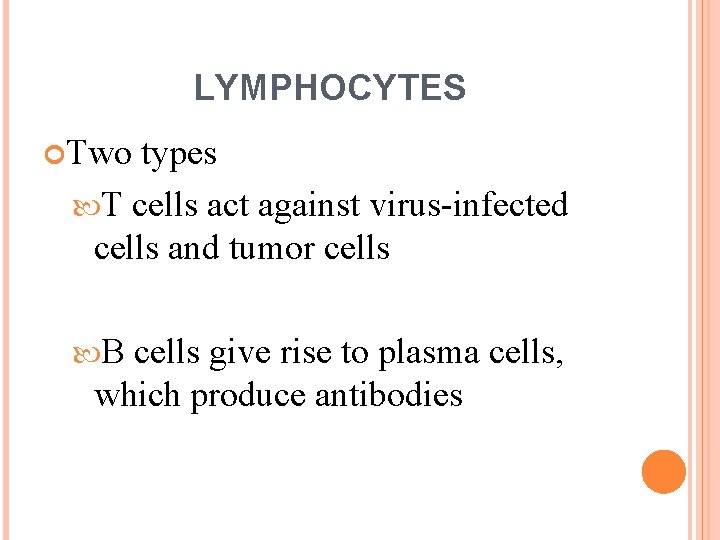 LYMPHOCYTES Two types T cells act against virus-infected cells and tumor cells B cells