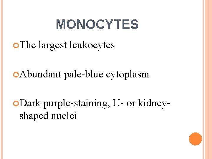 MONOCYTES The largest leukocytes Abundant Dark pale-blue cytoplasm purple-staining, U- or kidneyshaped nuclei 