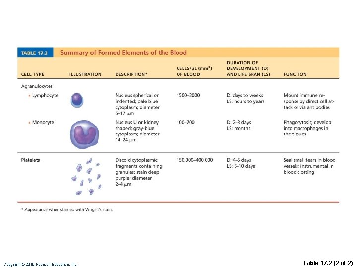 Copyright © 2010 Pearson Education, Inc. Table 17. 2 (2 of 2) 