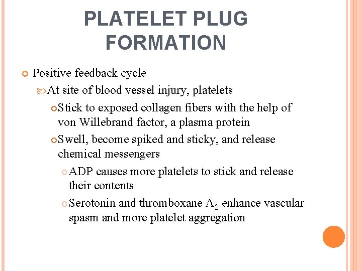PLATELET PLUG FORMATION Positive feedback cycle At site of blood vessel injury, platelets Stick