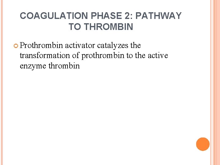 COAGULATION PHASE 2: PATHWAY TO THROMBIN Prothrombin activator catalyzes the transformation of prothrombin to