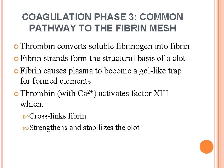 COAGULATION PHASE 3: COMMON PATHWAY TO THE FIBRIN MESH Thrombin converts soluble fibrinogen into