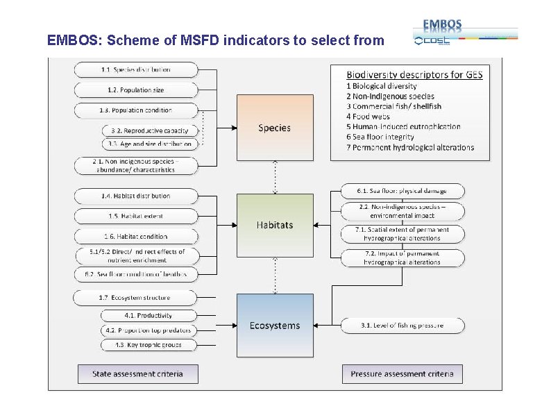 EMBOS: Scheme of MSFD indicators to select from 