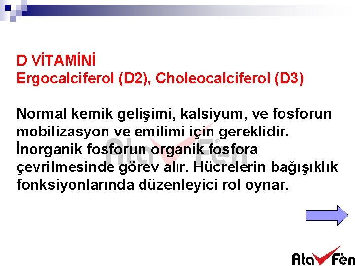 D VİTAMİNİ Ergocalciferol (D 2), Choleocalciferol (D 3) Normal kemik gelişimi, kalsiyum, ve fosforun