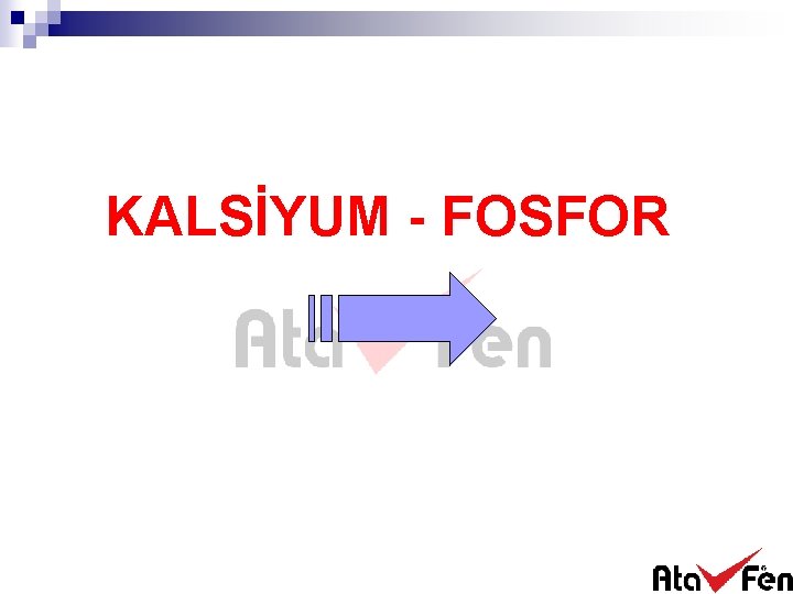 KALSİYUM - FOSFOR 
