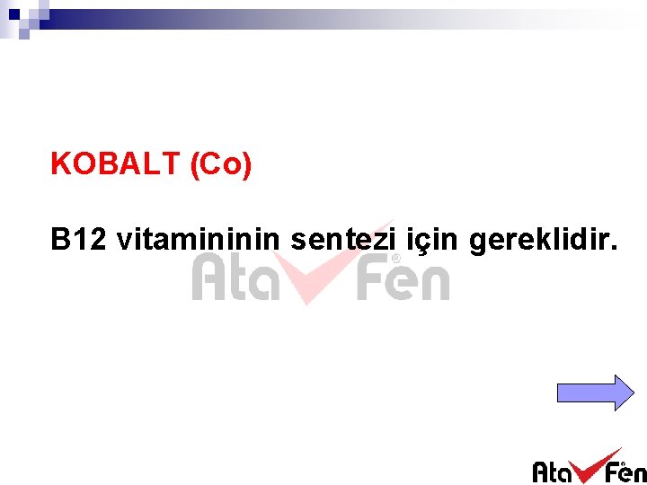 KOBALT (Co) B 12 vitamininin sentezi için gereklidir. 