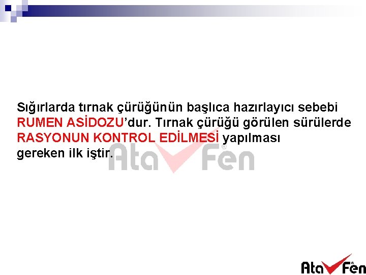 Sığırlarda tırnak çürüğünün başlıca hazırlayıcı sebebi RUMEN ASİDOZU’dur. Tırnak çürüğü görülen sürülerde RASYONUN KONTROL