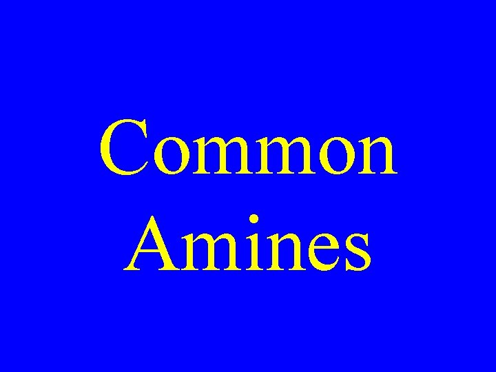 Common Amines 