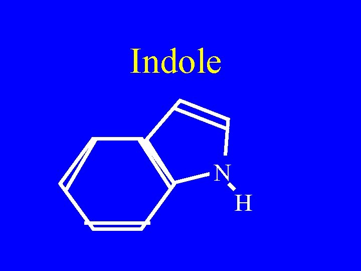 Indole N H 