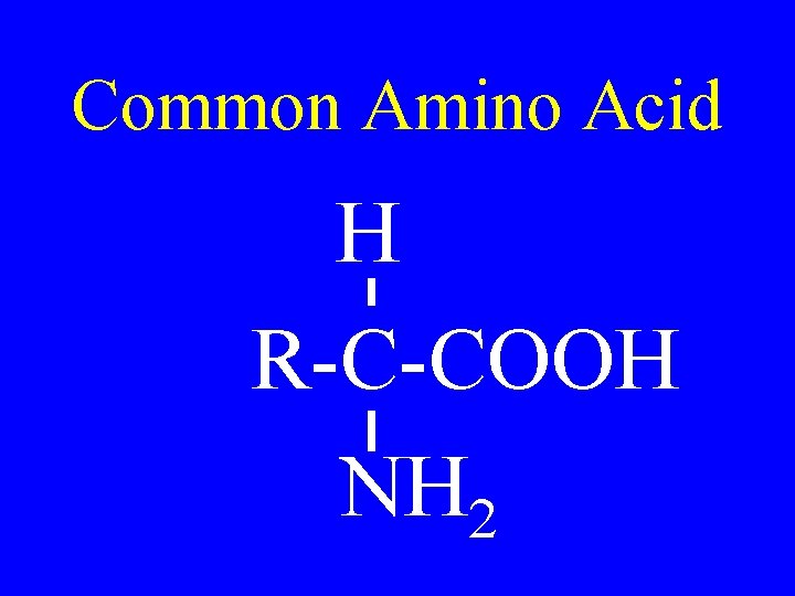 Common Amino Acid H R-C-COOH NH 2 