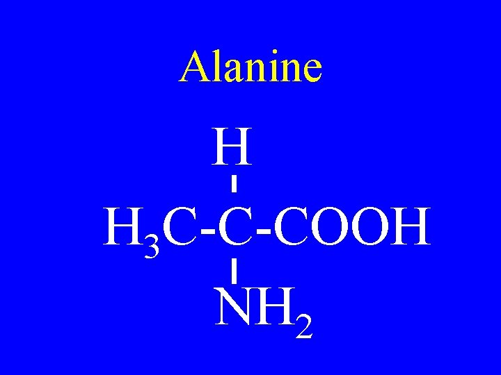 Alanine H H 3 C-C-COOH NH 2 