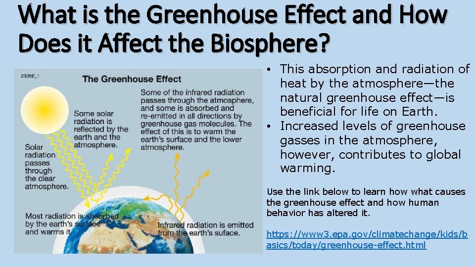 What is the Greenhouse Effect and How Does it Affect the Biosphere? • This
