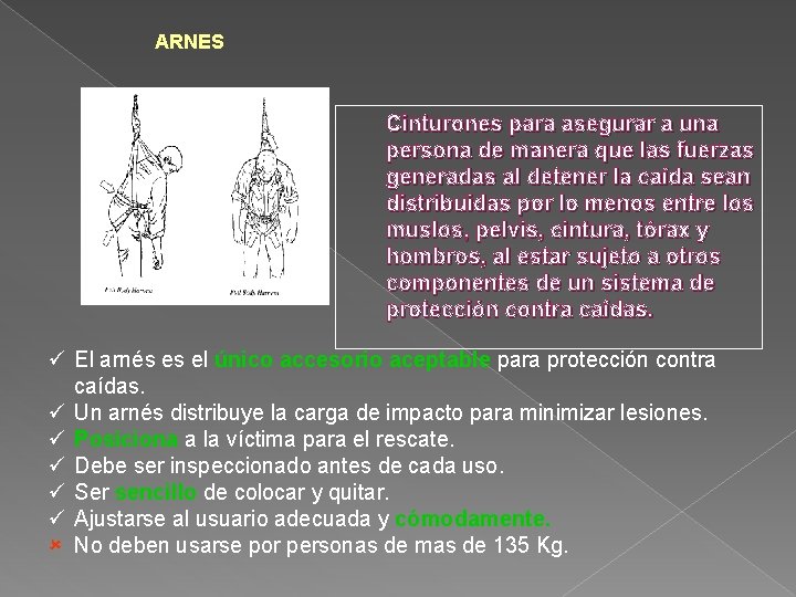 ARNES Cinturones para asegurar a una persona de manera que las fuerzas generadas al