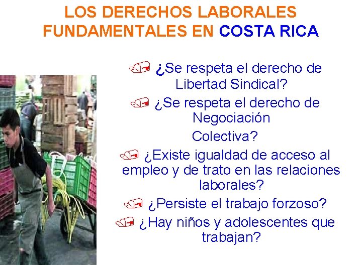 LOS DERECHOS LABORALES FUNDAMENTALES EN COSTA RICA / ¿Se respeta el derecho de Libertad