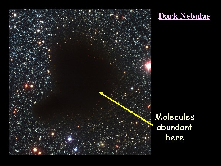 Dark Nebulae Molecules abundant here 