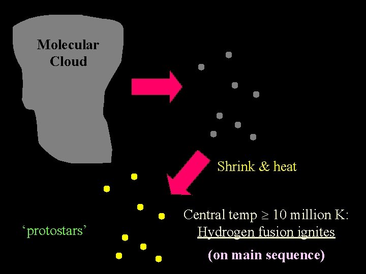 Molecular Cloud Shrink & heat ‘protostars’ Central temp 10 million K: Hydrogen fusion ignites