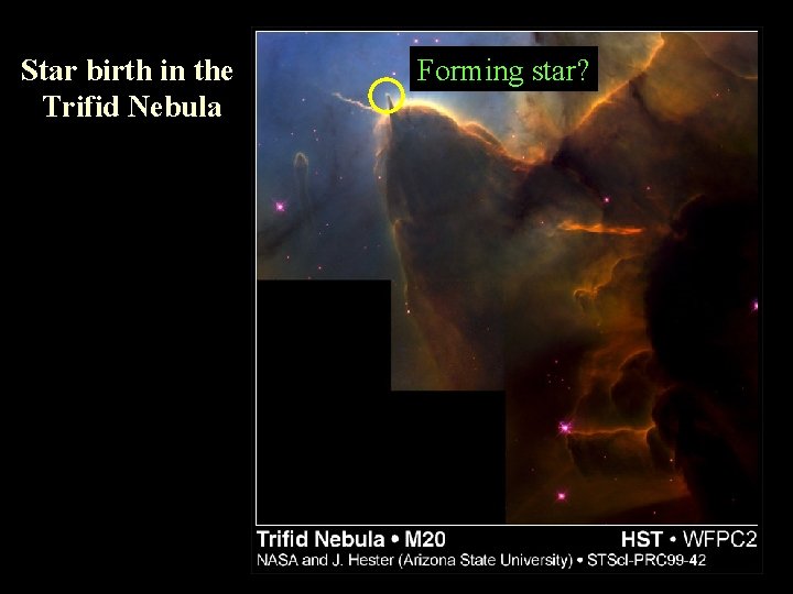 Star birth in the Trifid Nebula Forming star? 