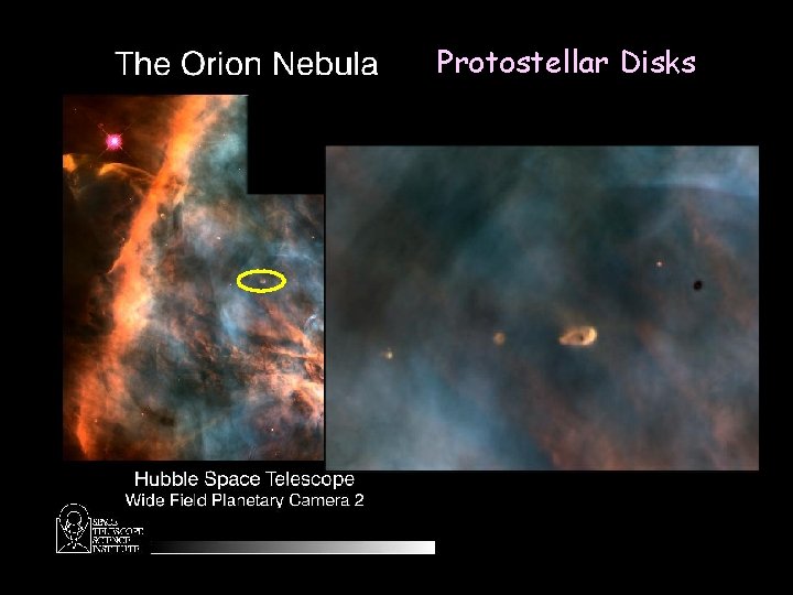 Protostellar Disks 