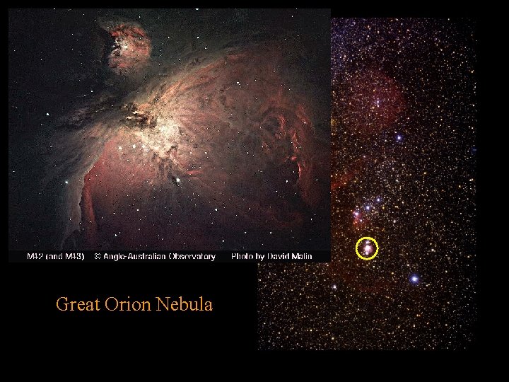 Great Orion Nebula 