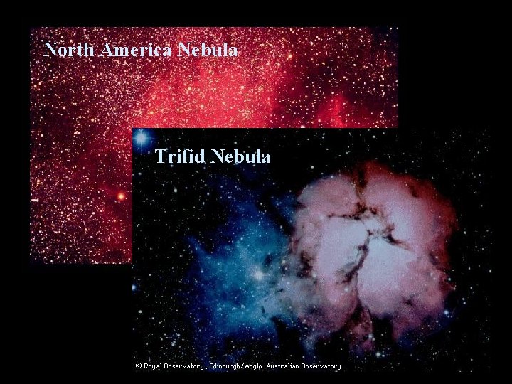 North America Nebula Trifid Nebula 