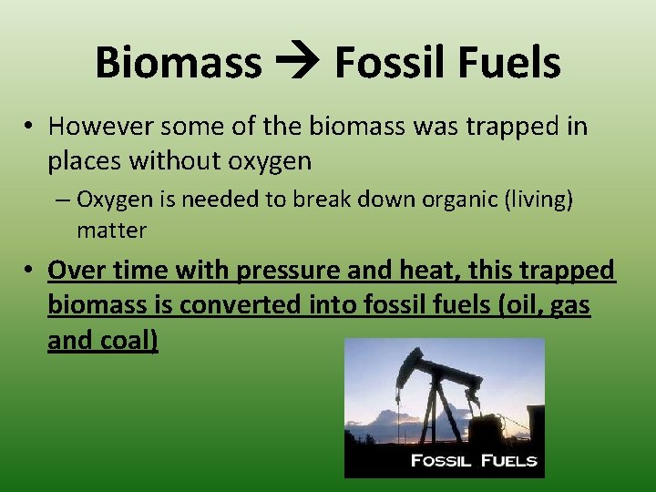 Biomass Fossil Fuels • However some of the biomass was trapped in places without