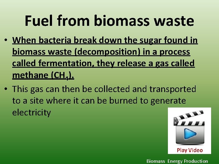 Fuel from biomass waste • When bacteria break down the sugar found in biomass