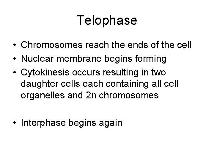 Telophase • Chromosomes reach the ends of the cell • Nuclear membrane begins forming