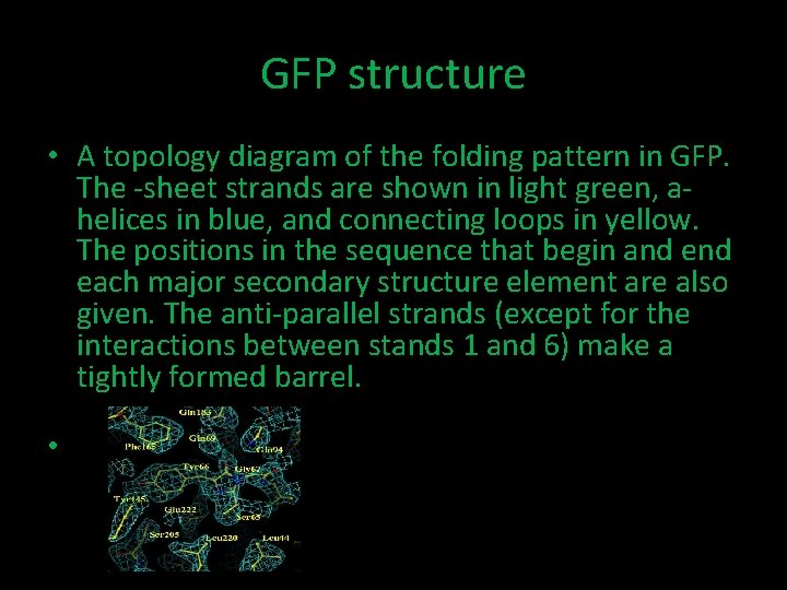 GFP structure • A topology diagram of the folding pattern in GFP. The -sheet