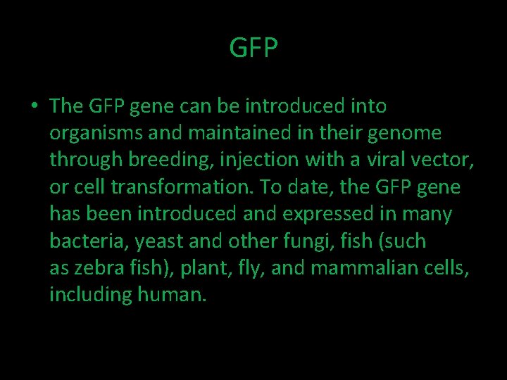 GFP • The GFP gene can be introduced into organisms and maintained in their