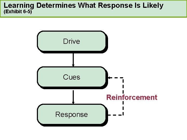 Learning Determines What Response Is Likely (Exhibit 6 -5) Drive Cues Reinforcement Response 