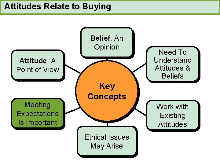Attitudes Relate to Buying Belief: An Opinion Attitude: A Point of View Meeting Expectations