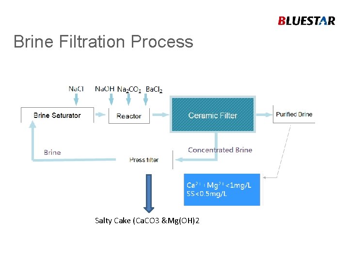 Brine Filtration Process Salty Cake (Ca. CO 3 &Mg(OH)2 