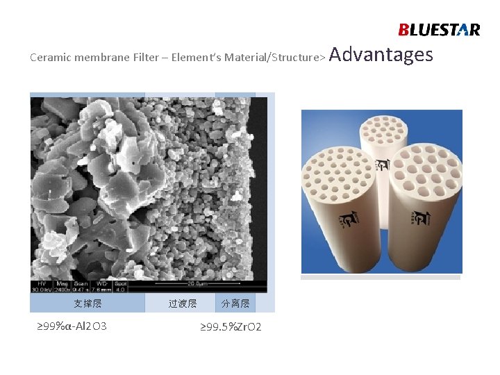 Ceramic membrane Filter – Element’s Material/Structure> 支撑层 ≥ 99%α-Al 2 O 3 过渡层 分离层