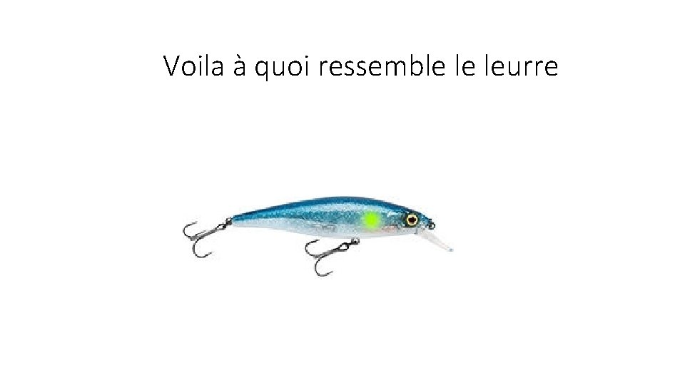 Voila à quoi ressemble le leurre 