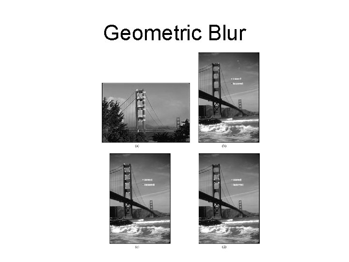 Geometric Blur 